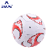  Brand New Wholesale Soccer Ball with Logo