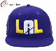 Custom Fashion Snapback Cap with Flat Embroidery