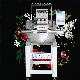  High Quality Computer Embroidery Machine Single Head, Parts Like Tajima Cheap Price