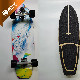 Surfboard 4 Wheels Surfskate Carver Land 7 Ply Wood Maple S7 Truck Surf Skateboard manufacturer