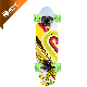 Adult Balance Board All Terrain Skateboard for Men Kids Transparent Canadian Maple Custom High Quality Surf Skate Board manufacturer