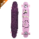 Professional Wood Skateboard with Dancing Customized Complete Longboard manufacturer