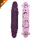 Professional Wood Skateboard with Dancing Customized Complete Longboard