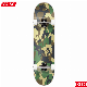  Maple Wood Skateboards, PRO Skateboards for Adults Complete