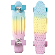  Highly Flexible Plastic Cruiser Board Mini 22 Inch Skateboards