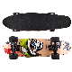 New Design Fashion Longboard Skateboard Ms-QC01 manufacturer