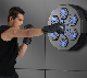 Newly Smart Home Fitness Wall Boxing Punching Kick Target with Bluetooth Music manufacturer