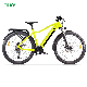  2023 36V 250W Pedal Assist Popular Electric Mountain Bike