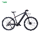  2023 Wholesale Pedal Assist 36V 250W Electric Bike Adult Mountain E-Bike