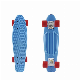 4 Wheel Plastic Skateboard 22 in Penny Board and PU Wheel