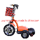 Folding Electirc Scooter Electric Scooters Brush Less Motor with Big Wheel