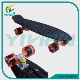 En13613 and En71 Certified 22inch Plastic Skateboard Fish Skateboards