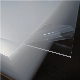 Welldon Supplier 3mm 5mm 1220X2440mm Clear PMMA Cast Acrylic Sheet Transparent Perspex