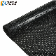  Good Price Non Slip Porous Ring Anti Skid Anti Fatigue Safety Rubber Mat Use in Toilet/Truck Trays/Wet Areas