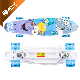  Skateboard Complete 7 Layers Deck Skate Board Maple Wood for Youths Beginners Girls Boys Kids