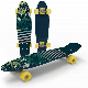 Penny Skateboard Nickel Cruisers Skateboard