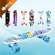 Mini 22 Inch Complete Blank Deck Plastic Fish Board Cruiser Skateboard with Big LED Wheel manufacturer