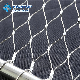  Corrosion Resistance 316L Stainless Steel Wire Rope Mesh Net for Balaustrade