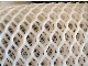  Good Quality Nylon/PE/PP/Polyester Poultry Plastic Slat Flooring Chicken Net