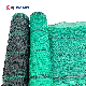  Woven PE Farm Fruit Pineapple Vegetable Green Plastic Netting Mesh Sun Shade Net in Rolls Price Wholesale