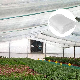  Protective High Temperature Resistant Agriculture Price Anti Nylon Mosquito Fabric Insect Net