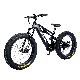  2023 Electric Bicycle Carbon Fiber Ebike 1000W MID Drive