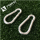 Alloy Steel DIN5299c Carbine Spring Snap Hook