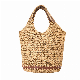 Fashion Straw Bag Girl Handbag New Ladies Purse for Women Crossbody Bag (5038)