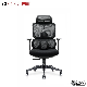 Affordable Mesh Double Backrest Design Ergonomic Swivel Office Chair