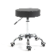 Swivel Rolling Stool Round Chair Thick Sturdy Padding Adjustable Stool with Wheels