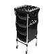 Professionnel Plastic Beauty Hair Salon Trolley