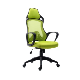 Ergonomic Executive Staff Mesh Plastic Office Revolving Chair (FS-2006 Green)