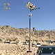 Competitive Price 8m 60W LED Solar Street Light