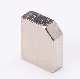 NdFeB Permanent Strong Rare Earth Neodymium Magnet with RoHS