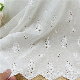 Gx380 Eyelet Embroidery Lace Cotton Embroidery Lace Fabric for Garment Clothing