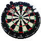 Professional Wholesale Sisal Bristle Dart Board with Stainless Steel Darts