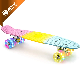 Manufacturer Rainbow Color Penny Board Plastic Skateboard manufacturer