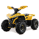  2023 New Launch Hot Sales 48V 1600W Electric ATV for Kids