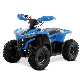 2023 New 48V 1600W Shaft Driven Kids Electric ATV