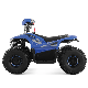 Quad Bike Dune Buggy Electric ATV Electric Quad for Kids