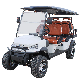  Electric Golf Cart 6 Passengers High Quality Golf Buggy with Lithium Battery