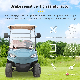 8h-10h 1-2 Wuhuanlong 3100*1350*2100 Jiangsu Classic Carts Golf Buggy with Factory Price