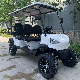 Thicken Chassis White Luxury 6 Seater Hunting Electric Golf Buggy