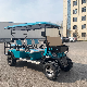 Lithium Battery 100km Mileage 6 Seats Electric Hunting Golf Buggy