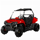 1500W-3000W Electric UTV Side by Side Two Seat off Road Buggy