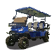 2+2 Seater Electric Golf Cart Golf Buggy with Lithium Battery