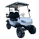 China Cheap Wholesale 4 Seat Electric Battery Golf Carts