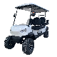 Hot Sale Wholesale Lithium Battery 6 Seater Electric Lifted Golf Cart