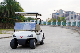 Wuling Stylish Faster 48V Battery 2 Seats Mini Buggy Smart Electric Golf Carts for Golf Course