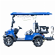  Custom 4 6 8 10 Seater Lithium Batteries Folding Golf Carts Electric Golf Cart